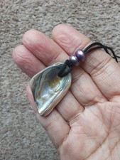 New Zealand Paua Abalone Shell