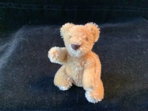 Vintage steiff teddy - vintage,