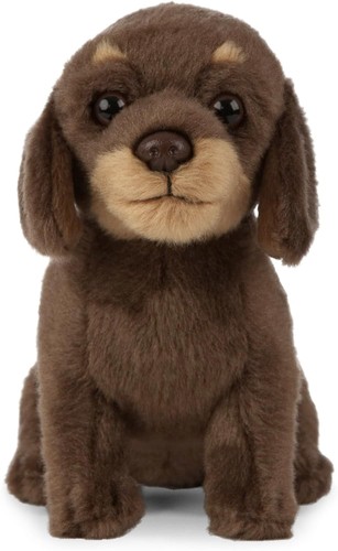 Adorable 16cm brown dachshund - adorable,