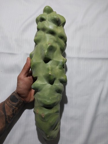 Totem pole monstrosus - 16",