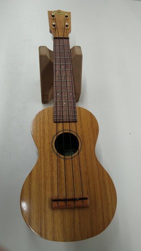 Famous ukulele used - famous, fs-5