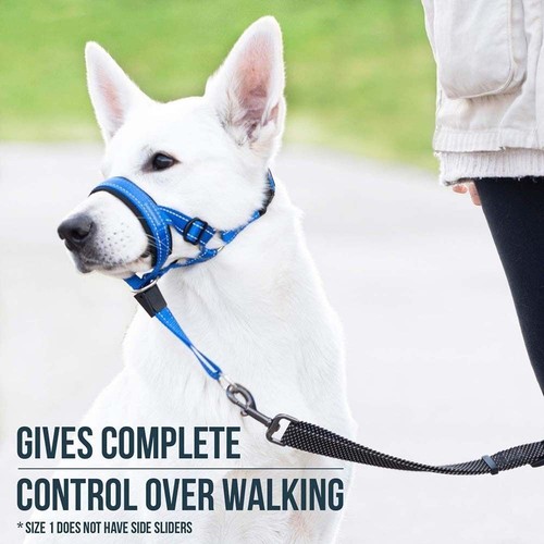 Adjustable anti barking dog - adjustable,