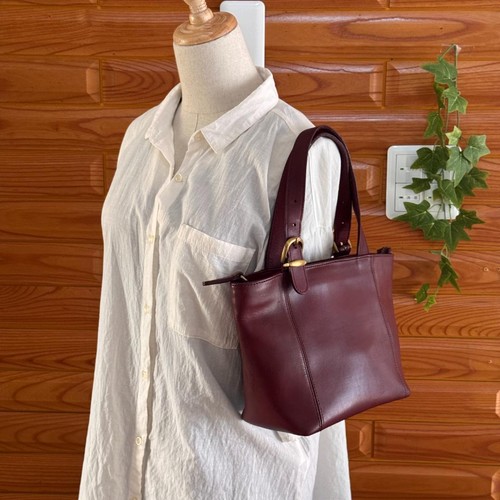 Coach rare color - 101, 31