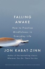 Jon Kabat-Zinn: Falling awake
