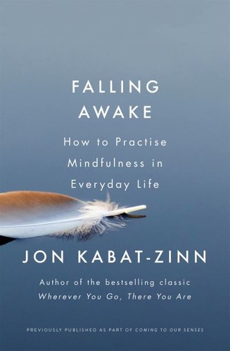 Jon kabat zinn falling awake - kabat-zinn:,