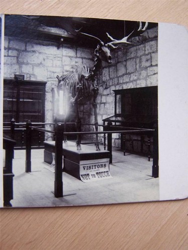 Stereoscope stereo view - stereoscope,