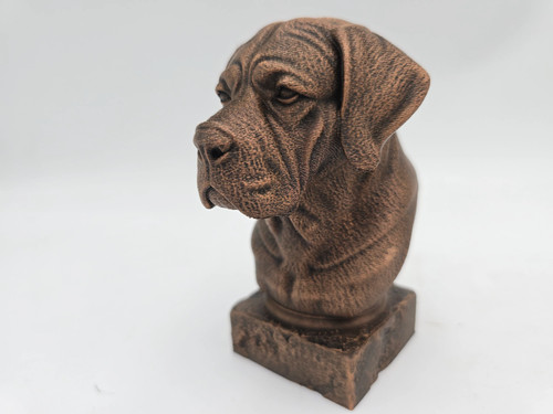 Cane corso bust - corso,