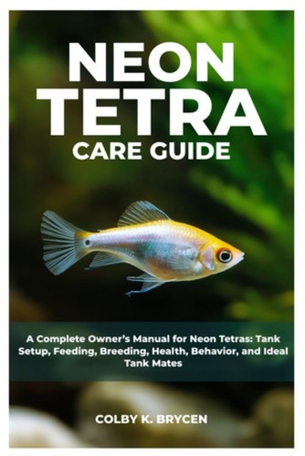 Neon tetra care guide - neon, a