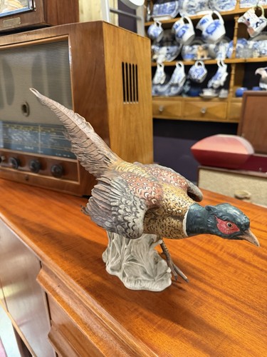 Rare goebel running pheasant - running,