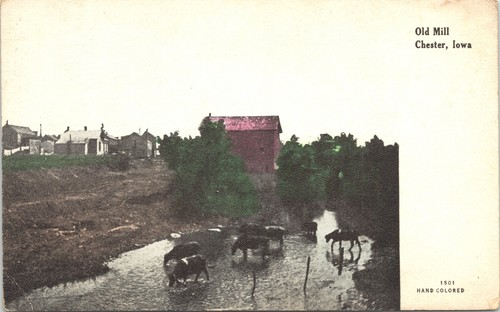 Hand colored postcard - hand,