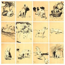 Cecil Aldin Photo Prints
