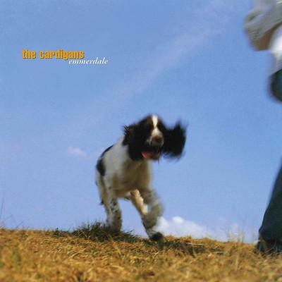 The cardigans emmerdale - cardigans:,