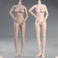 1/6 Female Action Figure Body