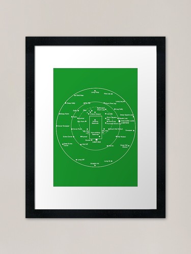 Cricket pitch positions - pitch, positions-