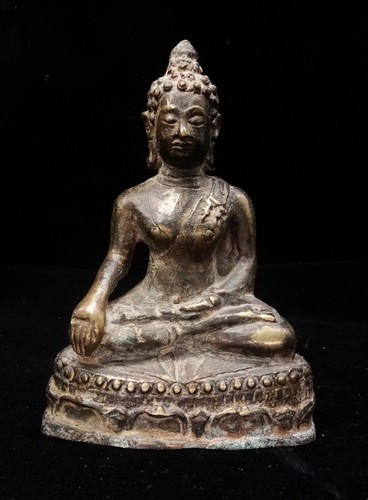 Shakyamuni buddha statue - shakyamuni,
