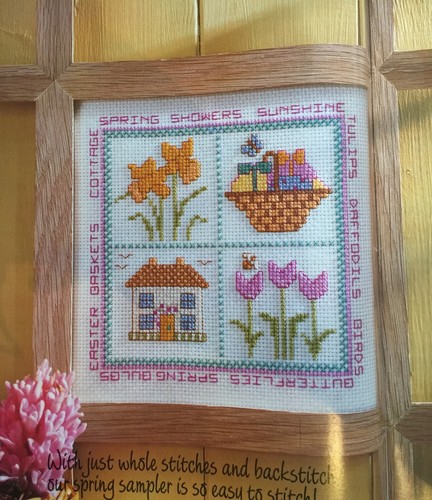 Beginners sampler cross stitch - beginners,