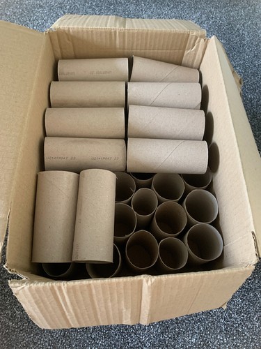 Empty toilet roll tubes - empty,
