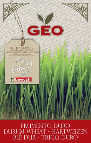 Geo organic wheatgrass seeds - organic,