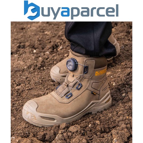 Dewalt lander stone safety - lander,
