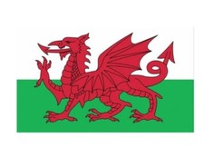 WALES RUGBY SIX NATIONS FLAG