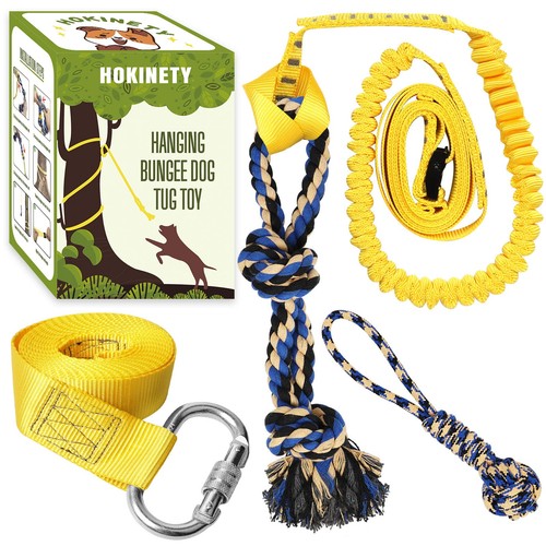 Dog hanging bungee - dog,