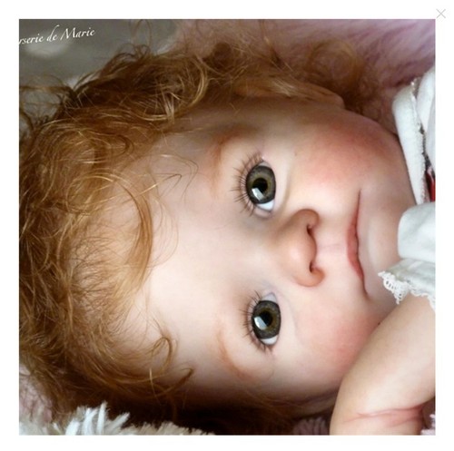 Jesse kelly donna rubert - kelly,