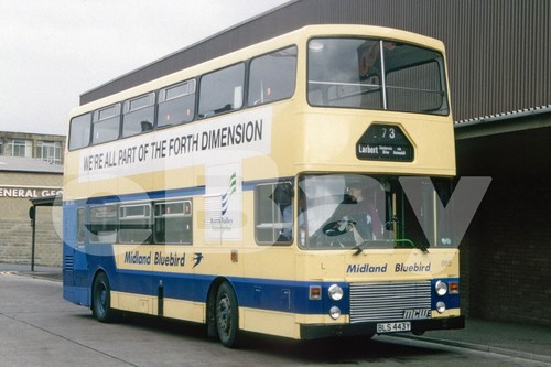 Bus photo midland bluebird - bus,