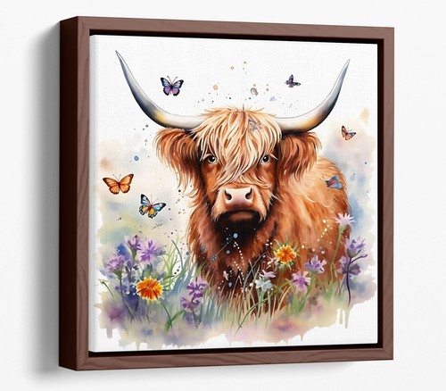 Pretty highland cow - highland,