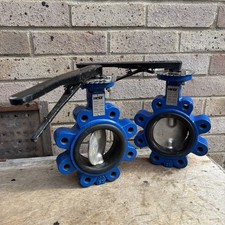 Cast Iron Water Butterfly