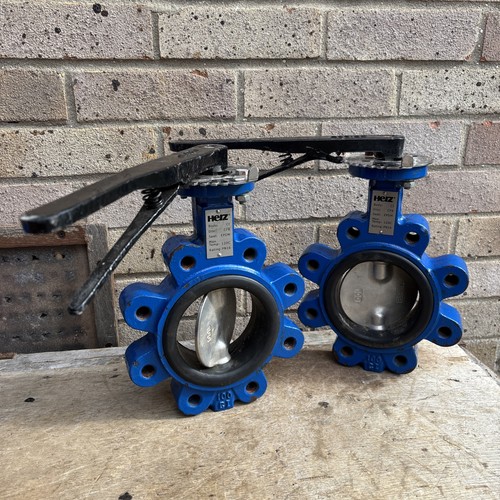 Cast iron water butterfly - iron,
