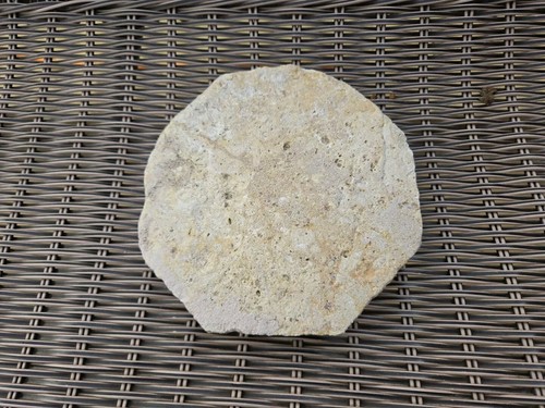 Roman ultra rare heavy - roman,