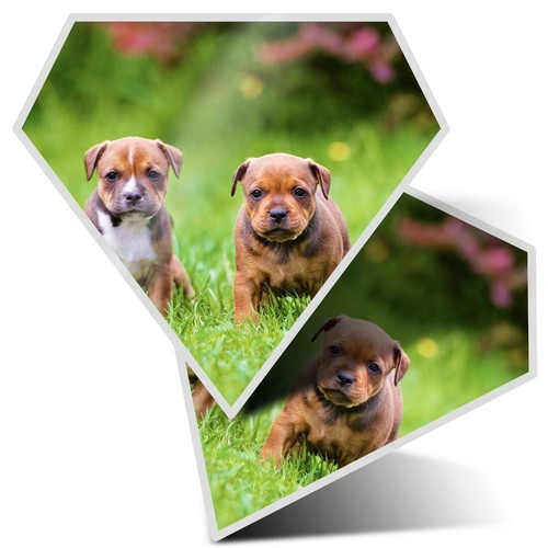 Diamond stickers - 2, x