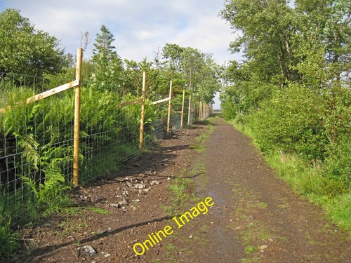 Photo 12x8 new deer fence - 12x8,