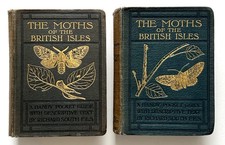 THE MOTHS OF THE BRITISH ISLES