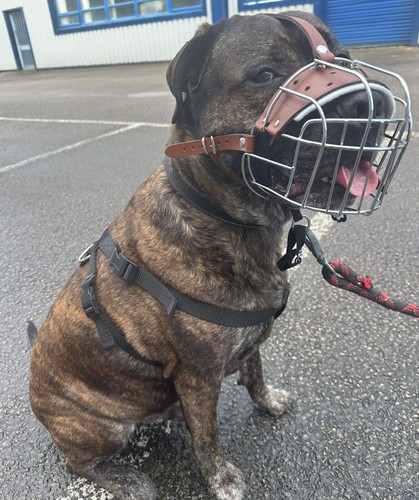 Strong metal wire basket - strong,