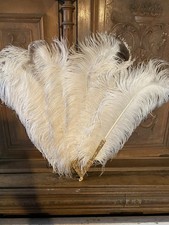 FABULOUS, HUGE , BURLESQUE OSTRICH FEATHER LEAF FOLDING HAND FAN (145)