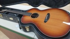 Acoustic Guitar PRO22EP