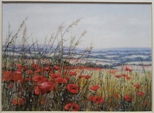 Field of Poppies - Framed Art