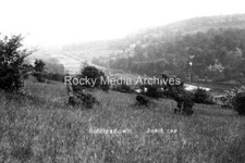 Hbn-48 Riddlesdown Nr Kenley, Croydon, London. Photo