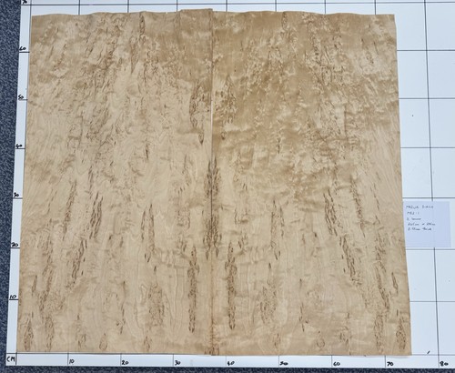 Mazur birch real wood - real, 2
