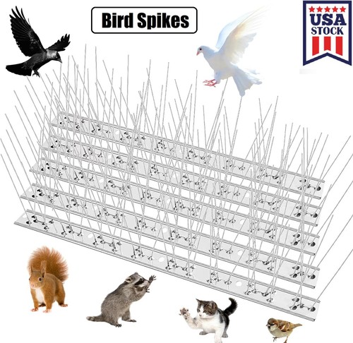 Bird spikes for small - for,