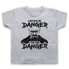 I AM NOT IN DANGER I AM DANGER