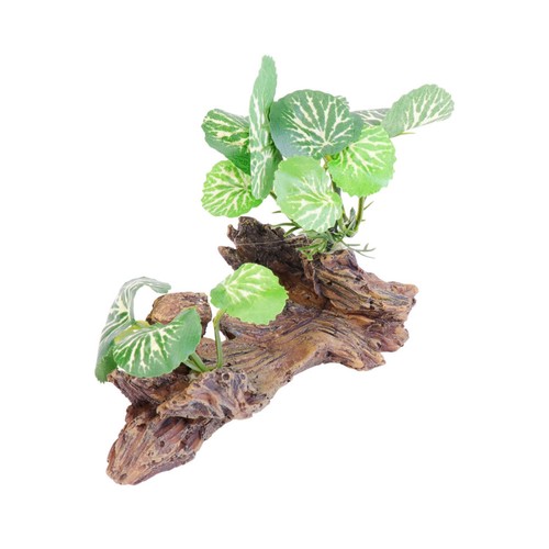 Reusable green aquarium - aquarium, plants