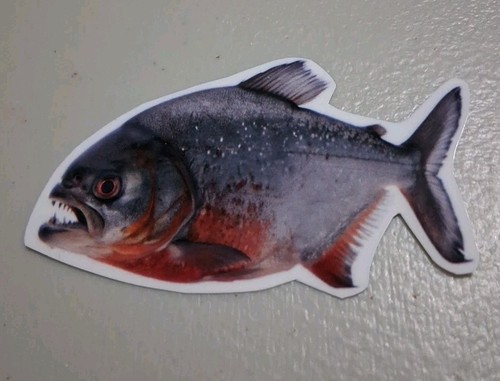 Piranha fish vinyl - piranha,