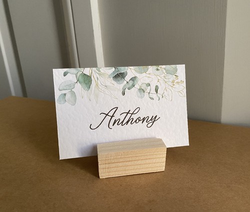 Eucalyptus greenery name - eucalyptus,