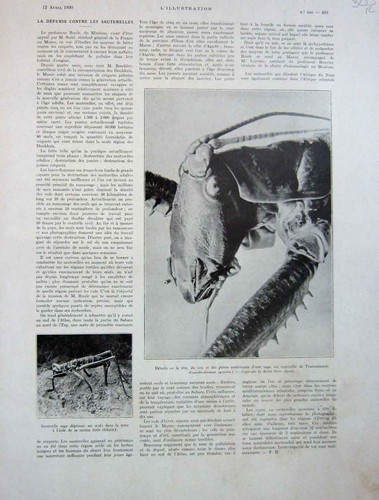 Old vintage print - old, fight