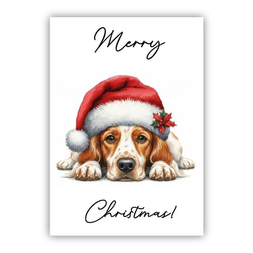 Brittany spaniel christmas dog - brittany,