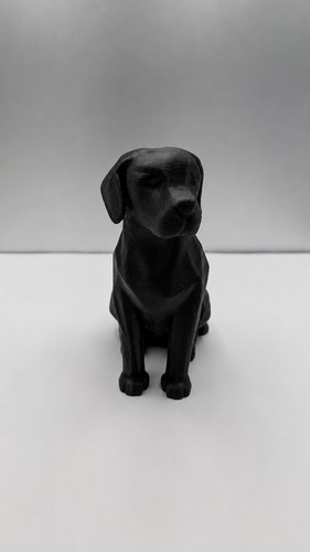 Black labrador statue cute - statue, dog