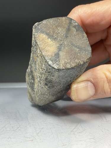Rocks chiastolite - -,