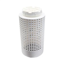 In Ground Compost Bin Worm